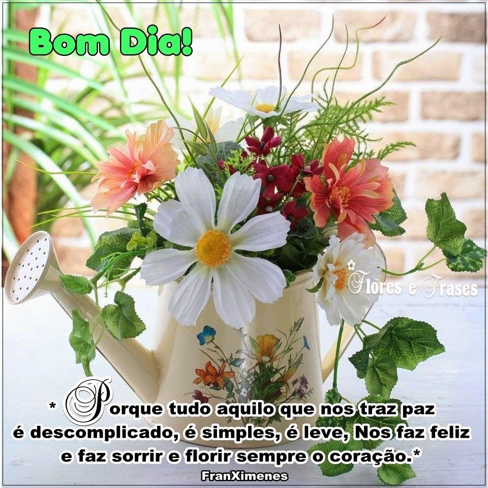 Mensagens de bom dia com flores para Facebook e WhatsApp - Mensagens Feliz