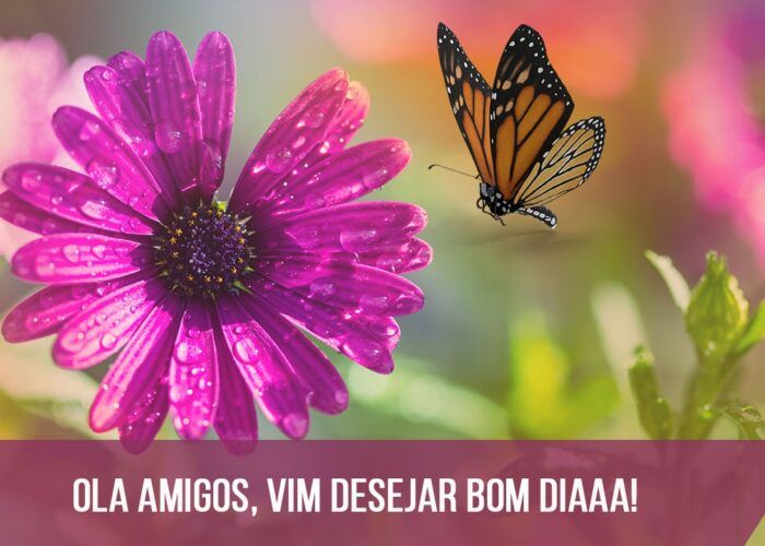 Mensagens de bom dia com flores para Facebook e WhatsApp