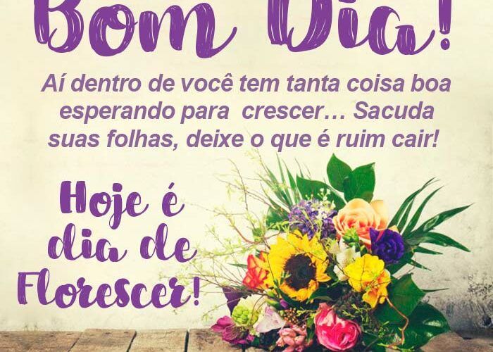 Reflexão mensagem de bom dia para Facebook e WhatsApp