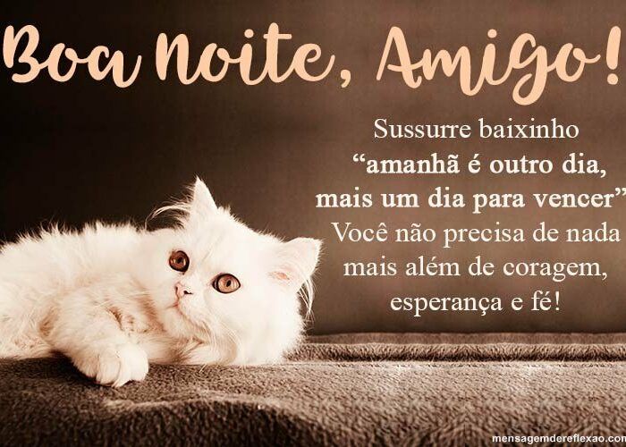 Mensagens de boa noite para amigo para Facebook e WhatsApp